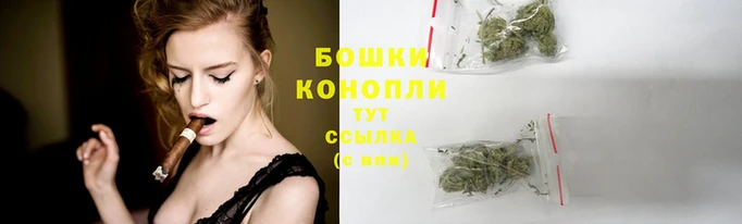 сатива Зерноград