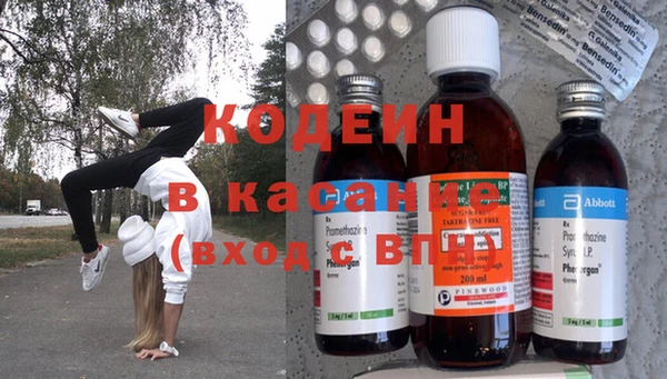 хмурый Арсеньев